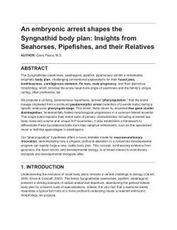 An embryonic arrest shapes the Syngnathid body plan: Insights from Seahorses, Pipefishes, and their Relatives