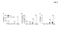 <b>Inhibition of NLRP3 Inflammasome Activation by Xylitol Attenuates </b><b><i>Fusobacterium nucleatum</i></b><b>-Driven Preterm Birth</b>