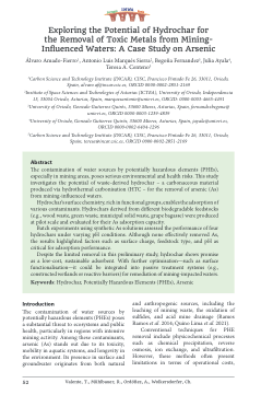 Exploring the Potential of Hydrochar for the Removal of Toxic Metals from Mining-Inflfluenced Waters: A Case Study on Arsenic