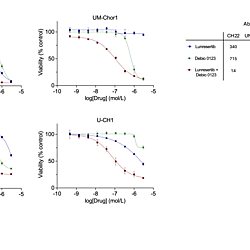Evaluation of the PKMYT1 inhibitor Lunresertib and the Wee1 inhibitor Debio 0123 as a potential combination treatment in chordoma