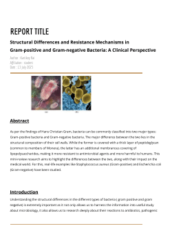 Resistance Mechanisms in Gram-Positive vs Gram-Negative Bacteria
