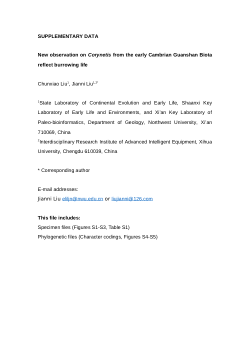 electronic supplementary material