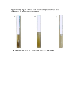 Supplementary Figure 1. Visual scale used to categorize soiling of rectal swabs based on fecal matter contamination.. Spectrum01313-25R1-Figure_S1.pdf