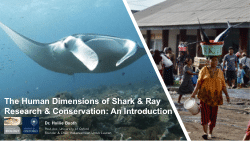 The Human Dimensions of Shark & Ray Research & Conservation: An Introduction