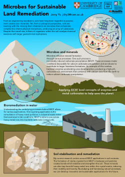 Microbes for Sustainable and Resilient Land Remediation Science Convocation 2025 Outreach Poster