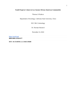 <b>Youth Property Crimes in Low Income African American Communities</b>