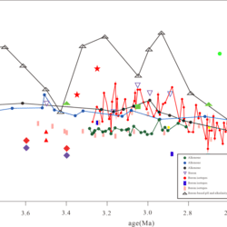 Late Pliocene atmospheric CO2 estimates based on fossil leaves of Machilus Lauraceae in Yunnan Southwest China