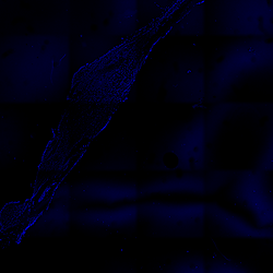 Immunofluorescence cell results