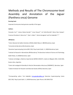 Detailed Assembly Methodology and Results