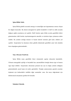 ANSWERS GIVEN BY ALL 3 ARTIFICIAL INTELLIGENCE TOOLS TO 20 QUESTIONS IN TURKISH