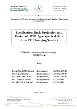 Localisation, Back-Projection and Fusion of LWIR Hyperspectral Data from FTIR Imaging Sensors