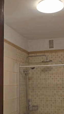 <b>Grabaciónes de vídeo que documenta los daños causados por el agua en el piso 19B debido a tuberías rotas en el número 42.</b>