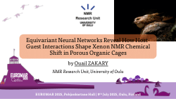 Equivariant Neural Networks Reveal How Host–Guest Interactions Shape Xenon NMR Chemical Shift in Porous Organic Cages