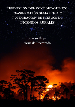 Predicción del Comportamiento, Clasificación Semántica y Ponderación de Riesgos de Incendios Rurales