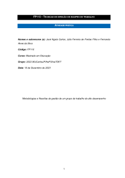 Metodologias e filosofias de gestão de um grupo de trabalho de alto desempenho