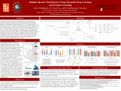 Schababerle_REU_Poster_2023