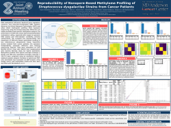 Schababerle_Poster_AGT_2025