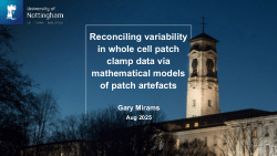 Reconciling variability in whole cell patch clamp data via mathematical models of patch artefacts