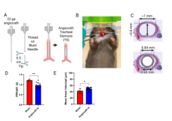 Supplement Materials, Methods, and Figures
