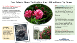 <b>From Ashes to Bloom: The Resilient Story of Hiroshima’s City Flower</b>
