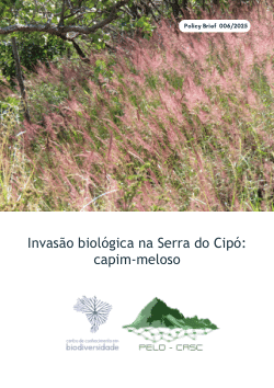 Invasão biológica na Serra do Cipó: capim-meloso