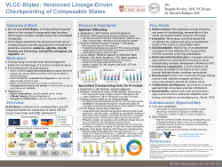 VLCC-States: Versioned Lineage-Driven Checkpointing of Composable States - Application to LLMs