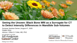Seeing the Unseen: Black Bone MRI as a Surrogate for CT to Detect Intensity Differences in Mandible Sub-Volumes