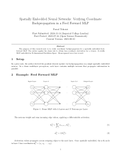 Spatially Embedded Neural Networks: Verifying Coordinate Backpropagation in a Feed Forward MLP