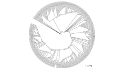 Bioinformatics Insights on SARS-CoV-2 and Salmonella: Presentation for CBC News