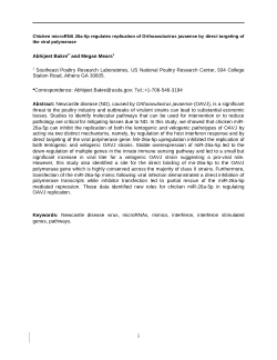 Chicken microRNA 26a-5p regulates replication of Orthoavulavirus javaense by direct targeting of the viral polymerase