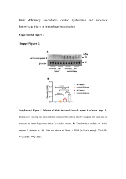 Deletion of irisin increased the content of cleaved caspase 3 in cardiac muscle in response to hemorrhagic injury.