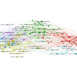 vosviewer map
