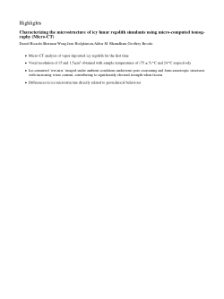 Characterizing the microstructure of icy lunar regolith simulants usingmicro-computed tomography (Micro-CT