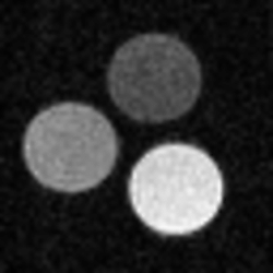 Nuclear Relaxation in Agar Gel in the Presence of Magnetic Nanoparticles at Low Magnetic Fields. Application to MRI Thermometry