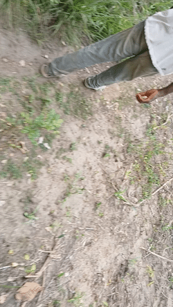 Video dataset for simulating a wireless sensor network