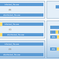 Schematic representation of file structures before and after virus infections