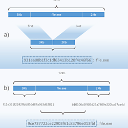 MD5 signatures from combined file regions