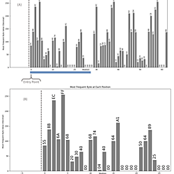 Entry Point byte frequency