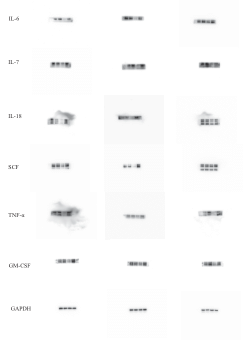 original protein image