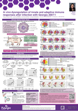 <i>In vivo</i> dysregulation of innate and adaptive immune responses after infection with Georgia 2007/1