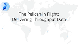 The Pelican in Flight: Delivering Throughput Data