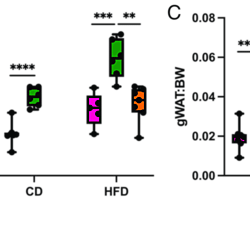 Supplemental Tables S1-S4 and Figures S1-S2 for <b>Crosstalk Between Obesogenic Diet and Estrogen Drives Distinct Microbiota Profiles in Ovariectomized Mice</b>