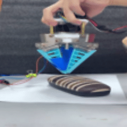 Results of Image Prediction