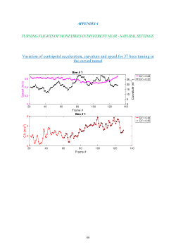 Turning Flights of Honeybees in Different Near - Natural Settings