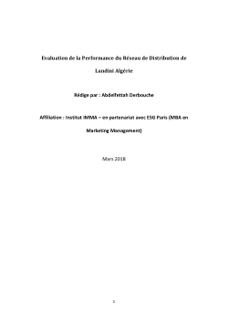 Evaluation de la Performance du Réseau de Distribution de Landini Algerie.pdf