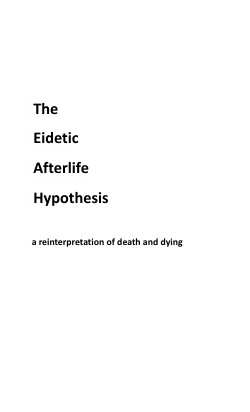 The Eidetic Afterlife Hypothesis