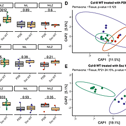 R scripts and Data to generate the manuscript figures.