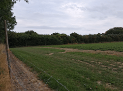 Food sustain (<i>Network for Sustainable crop production under climate change: designing and testing regional climate adaptation measures through enhanced ecohydrological modelling</i>) field survey pictures