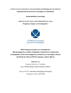 Micropropagation and traditional cytogenetic analysis in <i>Tradescantia orchidophylla</i>
