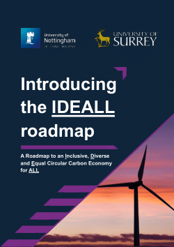 Introducing the IDEALL Roadmap: A Roadmap to an Inclusive, Diverse and Equal Circular Carbon Economy for ALL